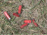 shotgun shells