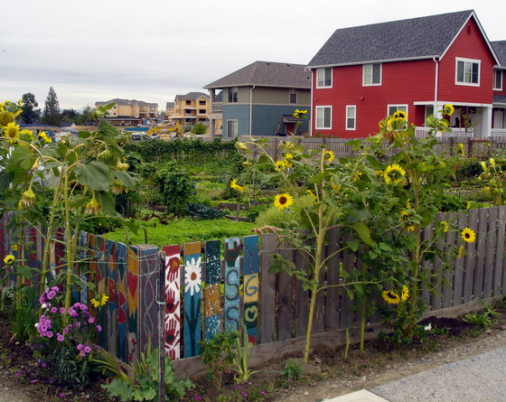 Highpoint organic garden. 