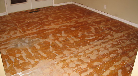 Floor after scraping