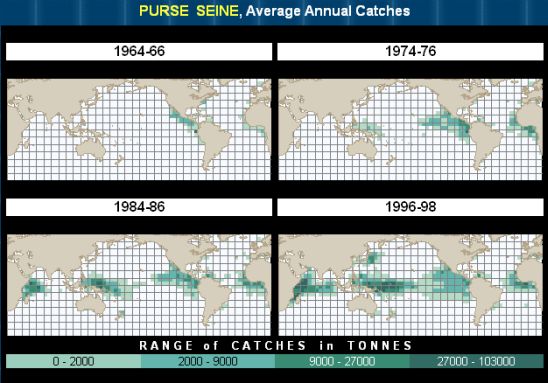 chart of purse seine catches