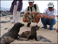 taking pictures of sea lions