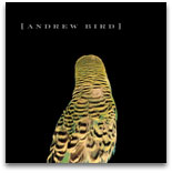 Armchair Apocrypha, by Andrew Bird