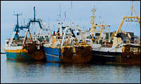 fishing fleet