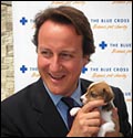 David Cameron