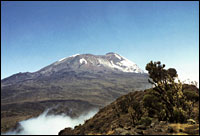 Mount Kilimanjaro. Photo: iStockphoto