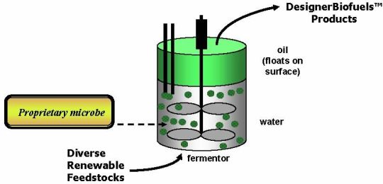 LS9 process