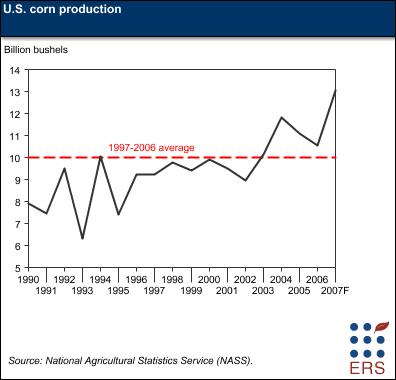 corn production