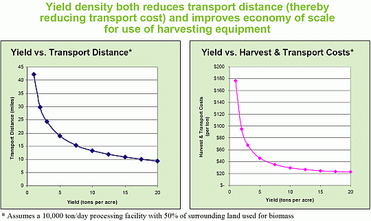 Yield Density