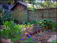 Backyard garden. Photo: Laura Gibb via Flickr