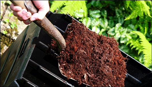 compost on a shovel