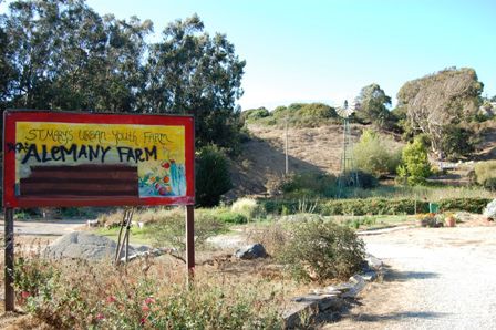 Alemany Farm