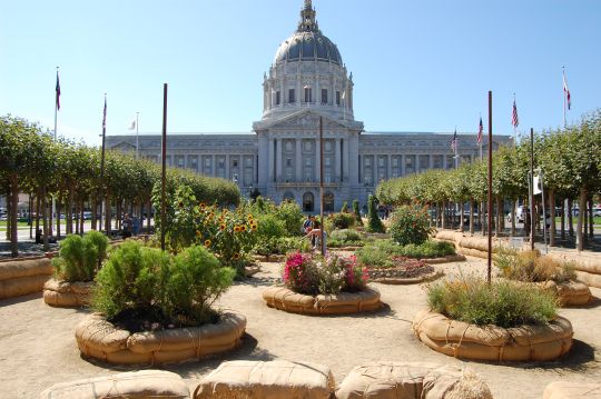 victory garden