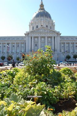 victory garden