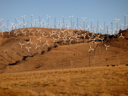 calif. wind farm