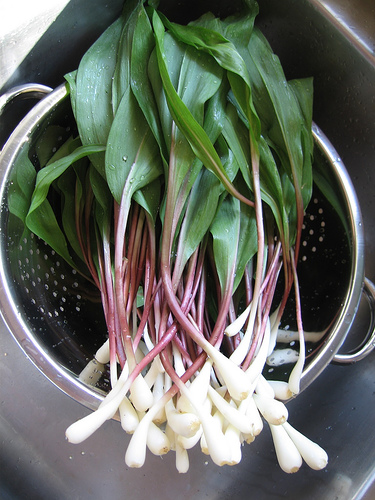 Ramps