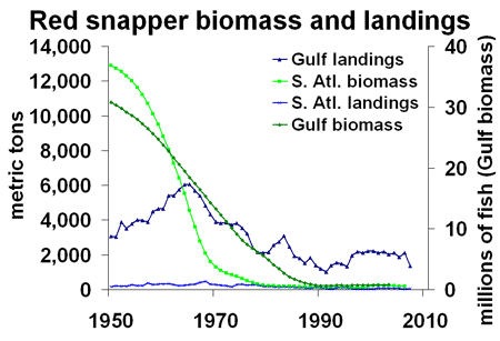 snapper chart