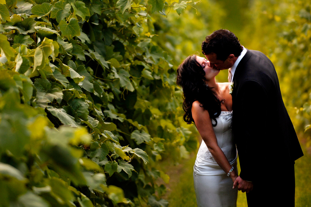 Bride and groom kissing.