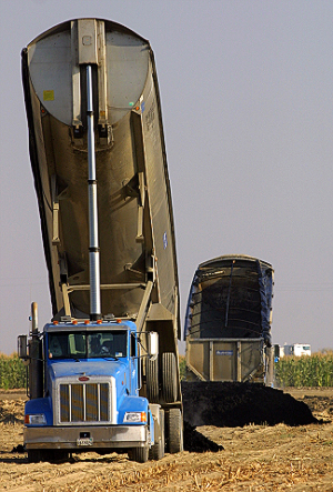 sludge as fertilizer