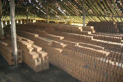 Bricks made from cow dung