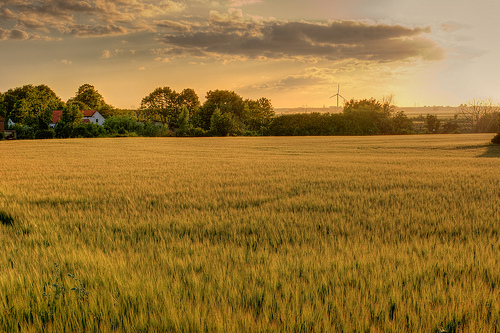 Agriculture.