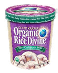 Good Karma frozen dessert.