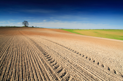 farm field