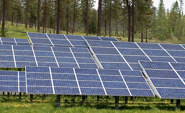 Solar panels in woods