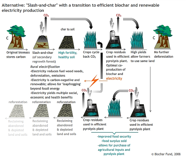 biochar and electricity