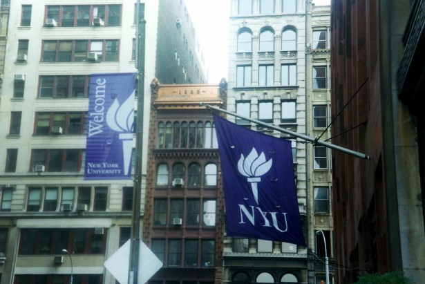 New York University