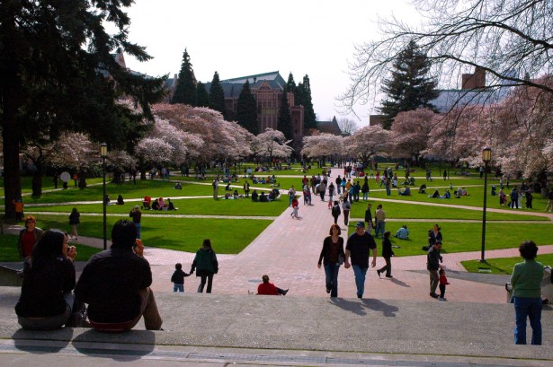 university of washington