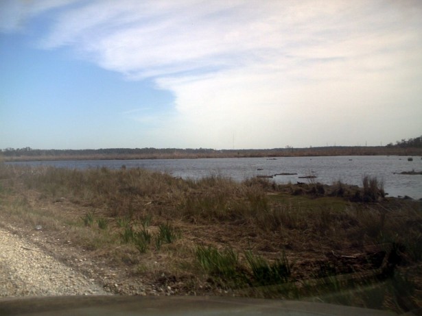 louisiana wetlands