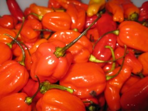 peppers