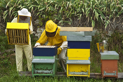 Beekeepers