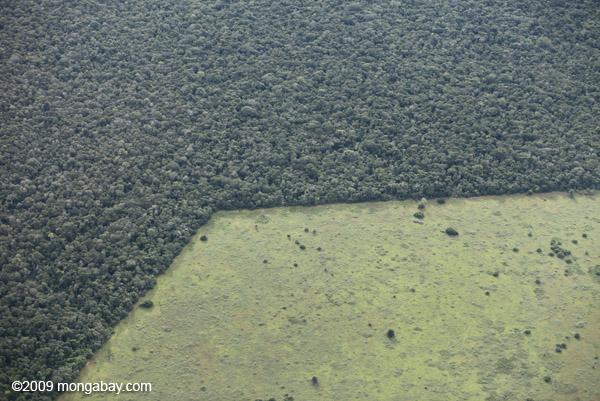 Geometric patterns of deforestation