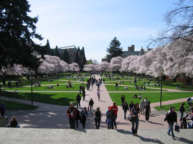 University of Washington campus