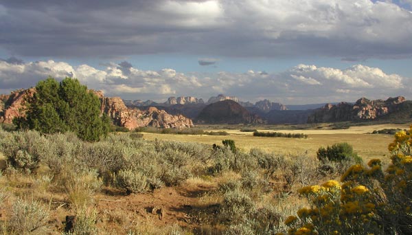 Zion National Park