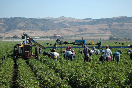 farm workers