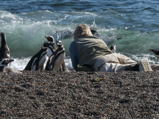 Boersma with penguins