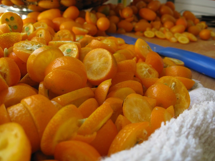 kumquats