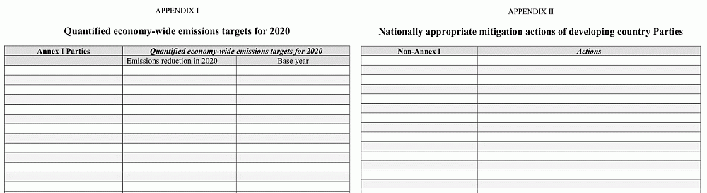 Copenhagen Accord appendices