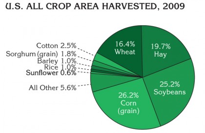 corn2