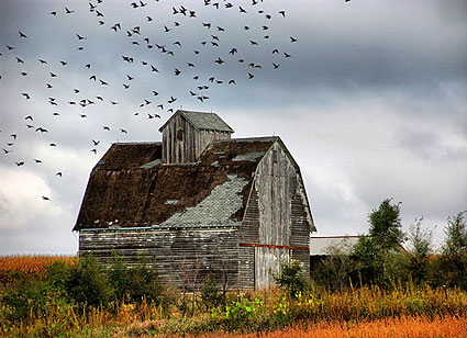 Farm building in southwest Storey County, Iowa.