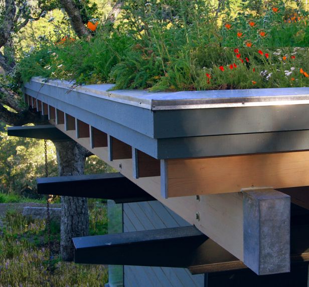 A green roof. 