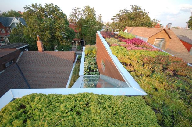 A green roof. 