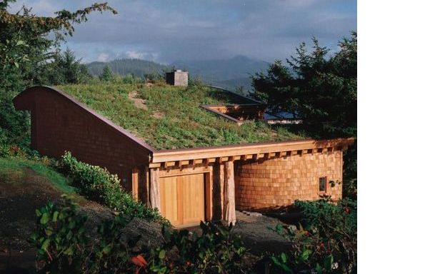 A green roof. 