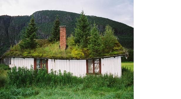 A green roof. 