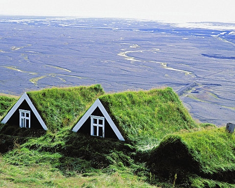 Green roofs. 