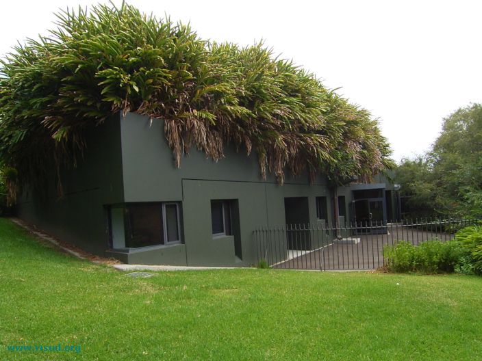 A green roof. 