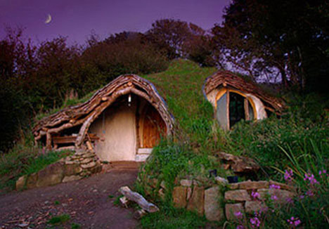 A green roof. 