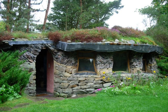 A green roof. 